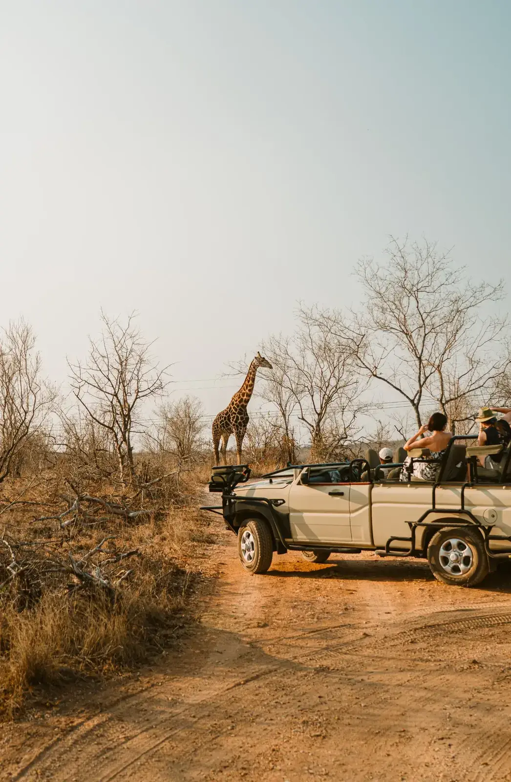Khanya Tented Camp in Greater Kruger – photo 4