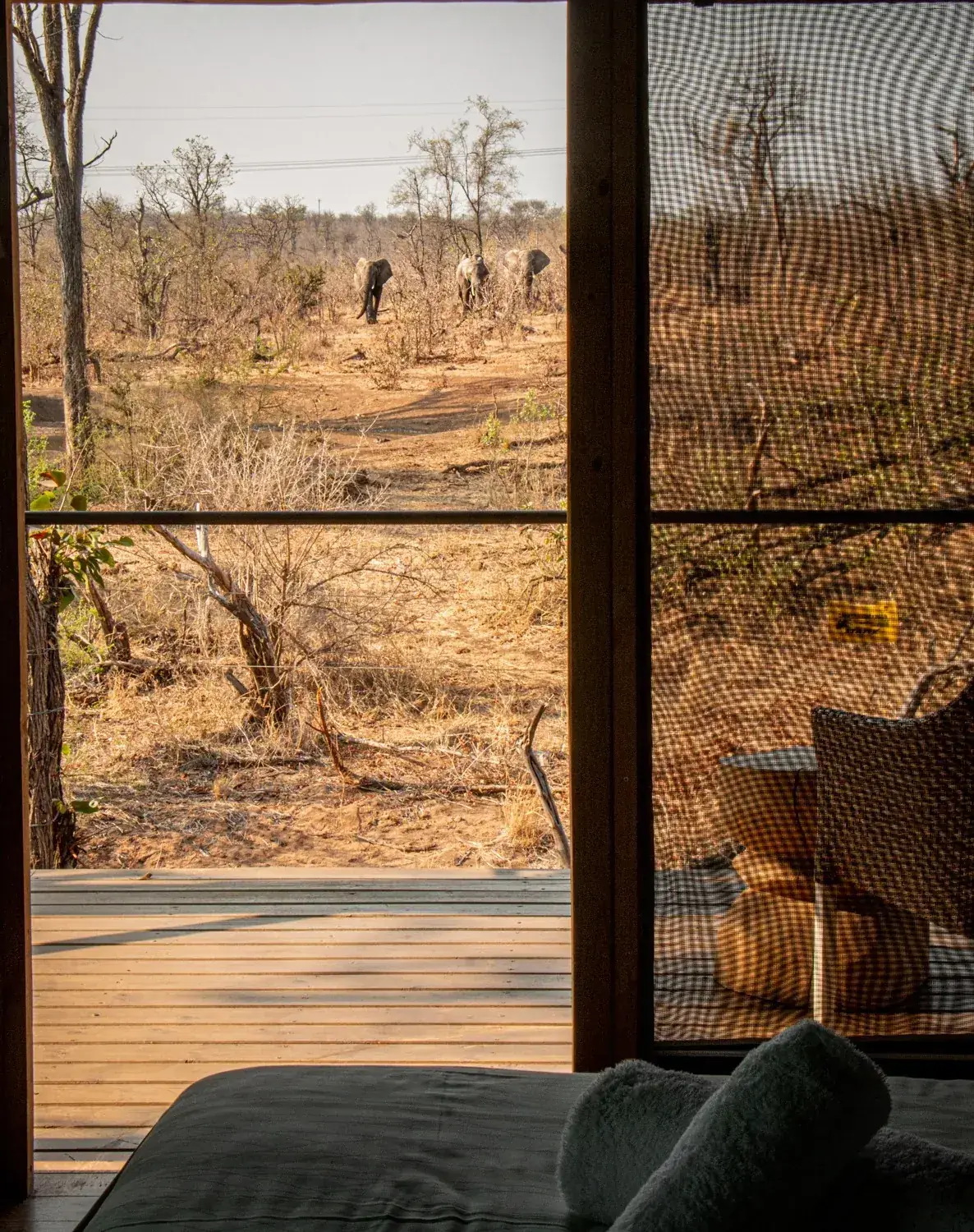 Khanya Tented Camp in Greater Kruger – photo 2