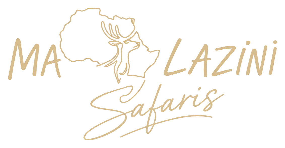 Maplazini Collection logo