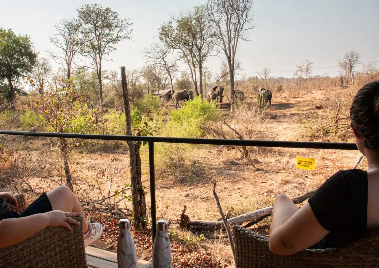 Deck elephant sighting at Khanya Tented Camp, Greater Kruger
