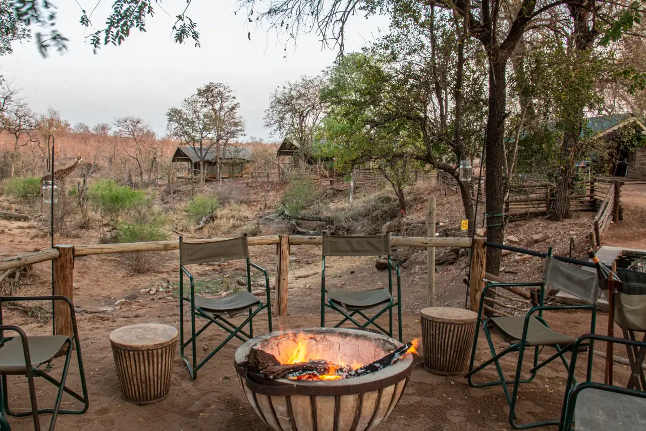 Firepit giraffe at Khanya Tented Camp, Greater Kruger