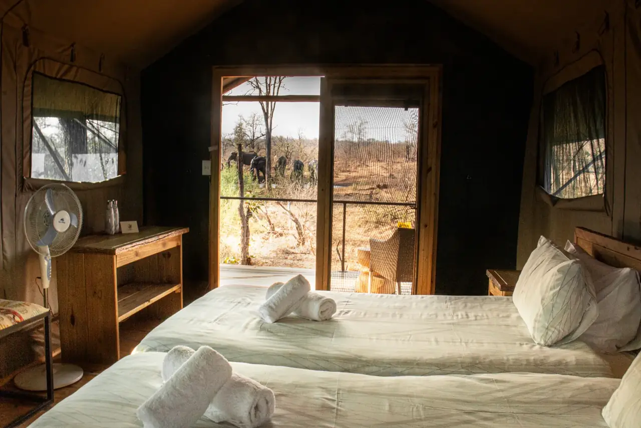 Tent elephants view at Khanya Tented Camp, Greater Kruger