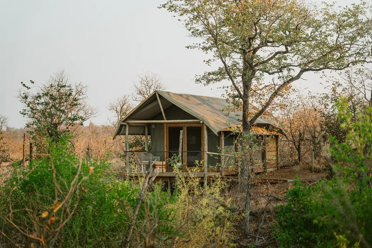 Tent exterior bush at Khanya Tented Camp, Greater Kruger