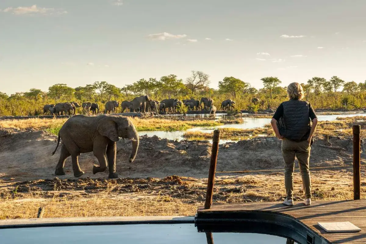 Pool waterhole at Camp Kuzuma, Chobe Region