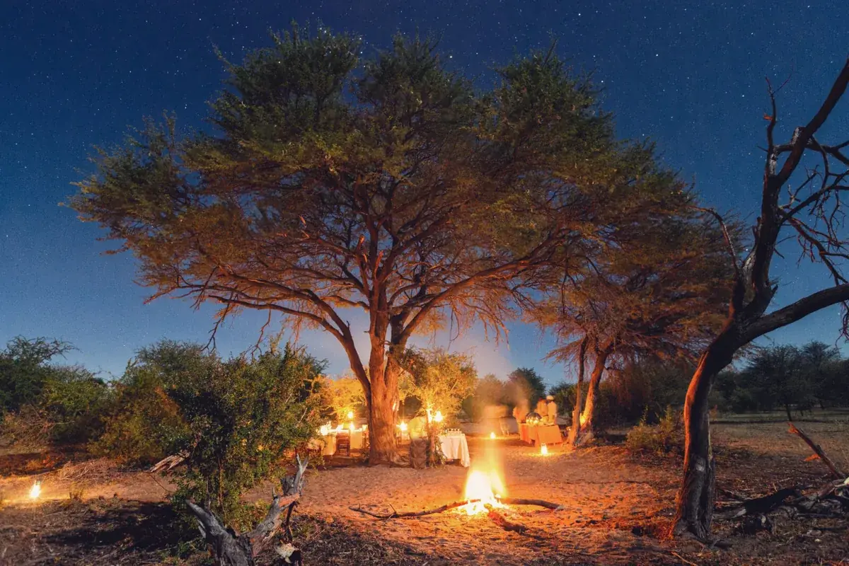 Bush dinner at Leroo La Tau, Makgadikgadi
