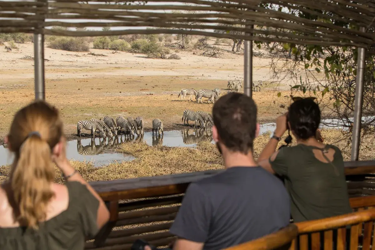Zebra viewing deck at Leroo La Tau, Makgadikgadi