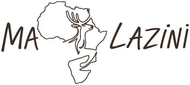 Maplazini logo