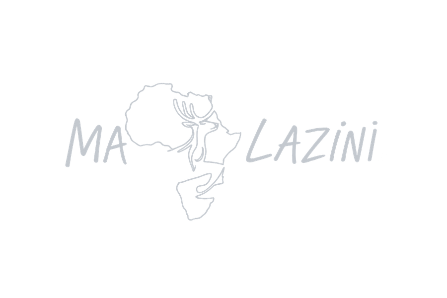 Maplazini logo
