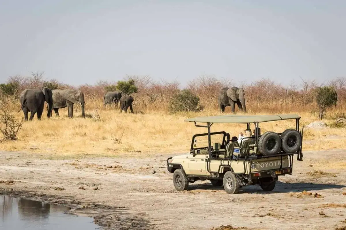 Game drive at Mankwe Tented Retreat, Moremi, Okavango