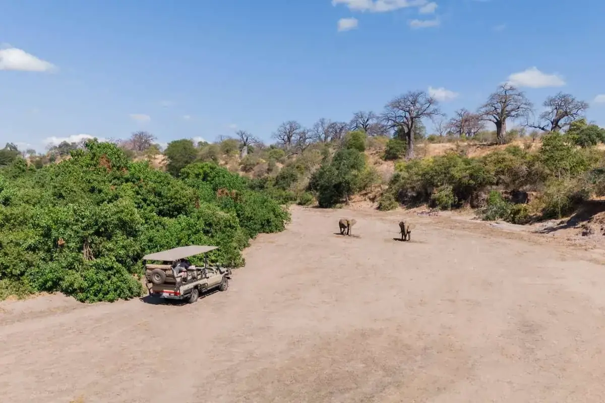 Game drive elephants at Mhara River Camp, Mana Pools