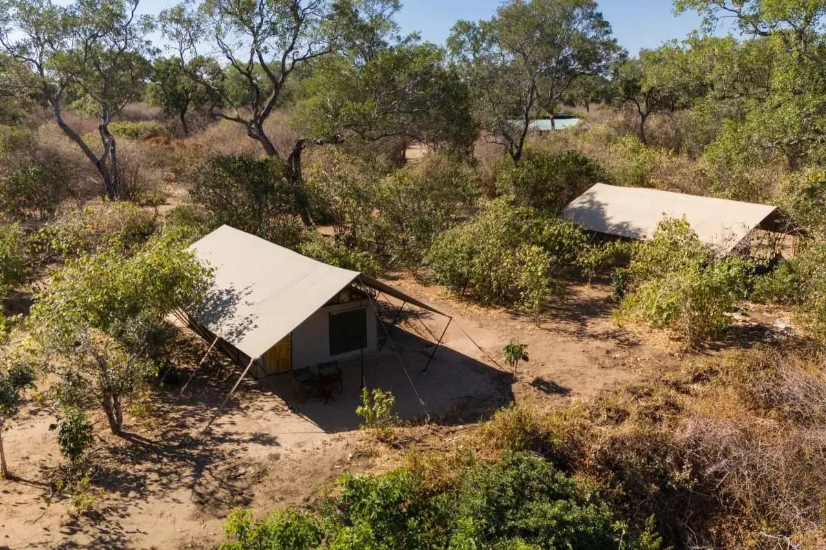 Tents aerial at Mhara River Camp, Mana Pools
