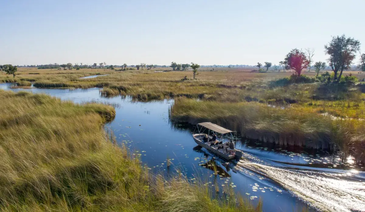 Boating safari at Camp Moremi, Moremi Game Reserve