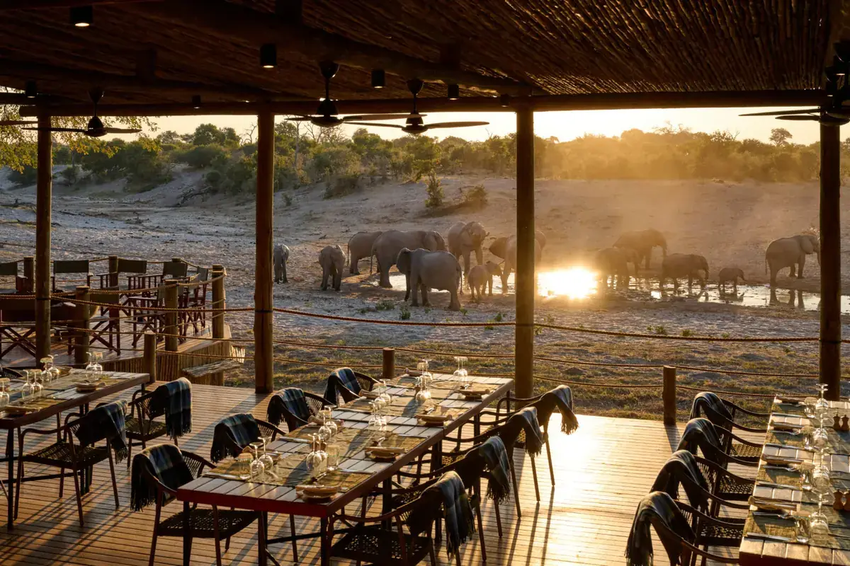 Dining waterhole at Savute Safari Lodge, Savute, Chobe National Park