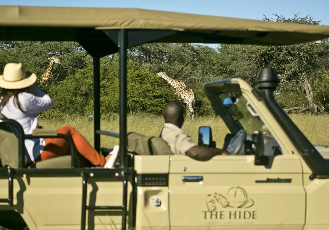 Game drive at The Hide Safari Camp, Hwange National Park
