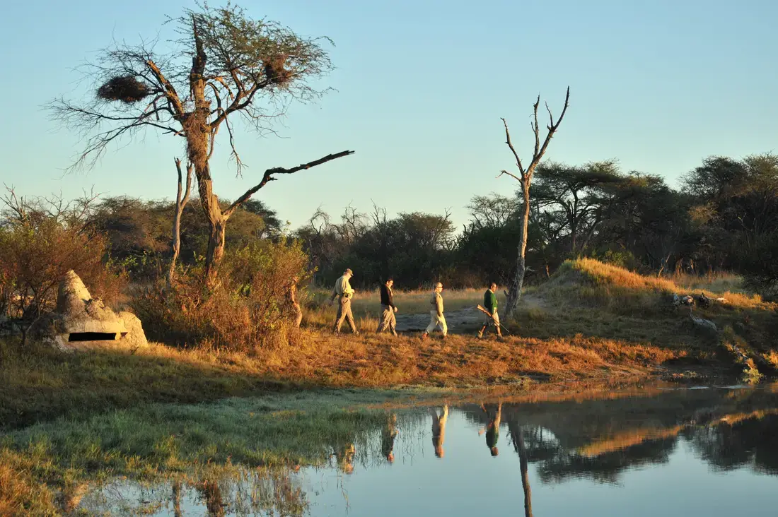Walking safari at The Hide Safari Camp, Hwange National Park