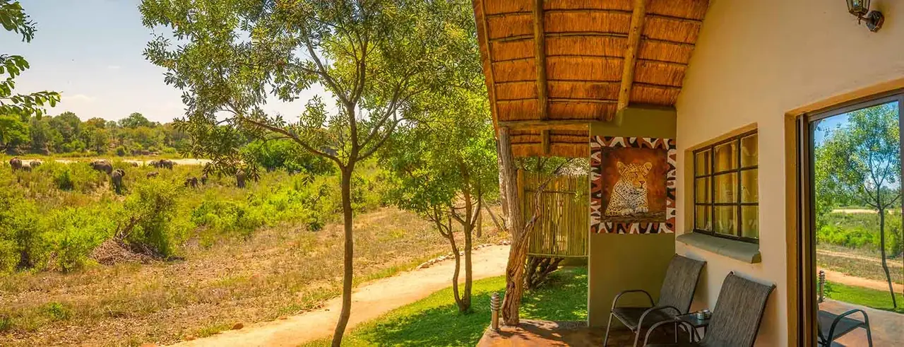 Deck elephants at Umkumbe Safari Lodge, Sabi Sand