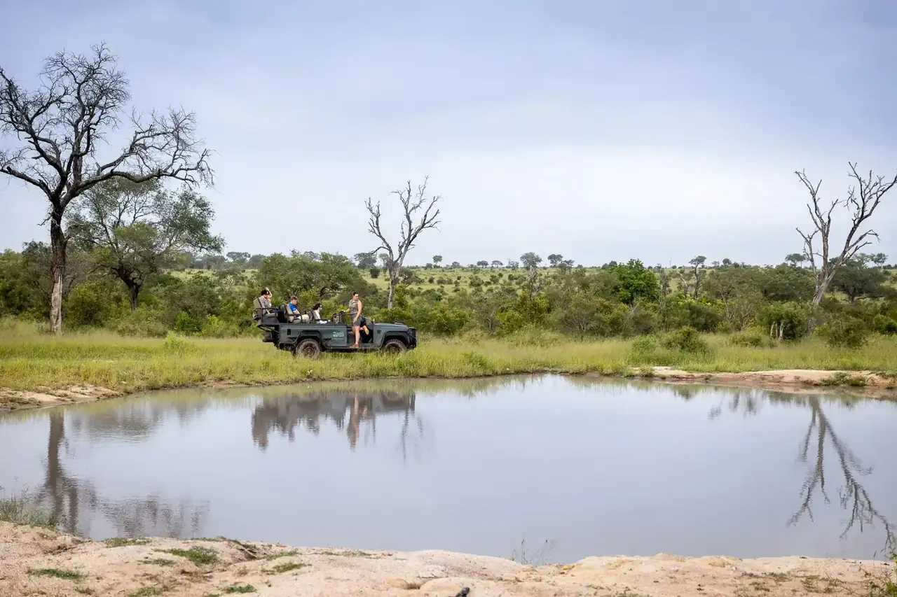 Game drive at Umkumbe Safari Lodge, Sabi Sand